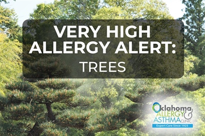 Very High Tree Pollen Alert Continues for Fifth Straight Day