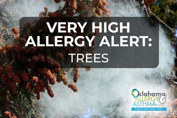 Very High Allergy Alert for Tree Pollen Continues