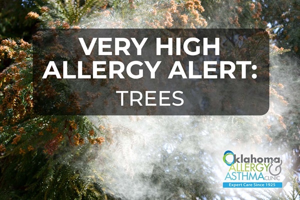 Very High Alert for Tree Pollen Continues