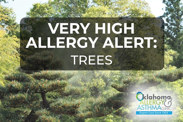 Very High Tree Pollen Levels Continue – Third highest Tree Pollen levels in 2026