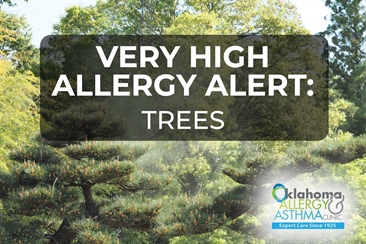 Very High Tree Pollen Levels Spike for Fourth Consecutive Day