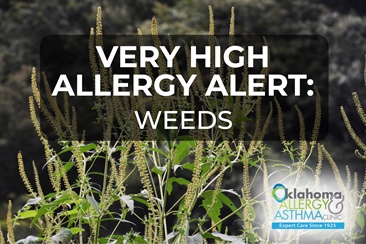 Very High Ragweed and Weed Pollen Levels Return, Ragweed Remains Highly Elevated Affecting Oklahomans