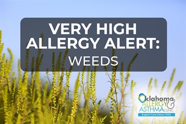 Very High Ragweed and Weed Pollen Levels Return, Affecting Oklahomans