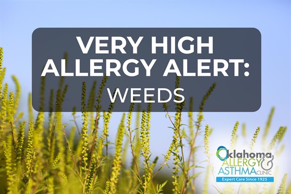 Very High Ragweed and Weed Pollen Levels Return, Affecting Oklahomans