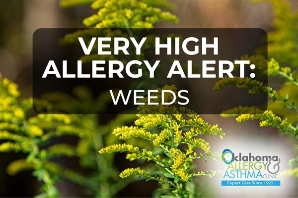 Fifth Day of the Highest Levels of Ragweed Pollen Detected in the Nation- Highest Weed Pollen Levels Since 2017