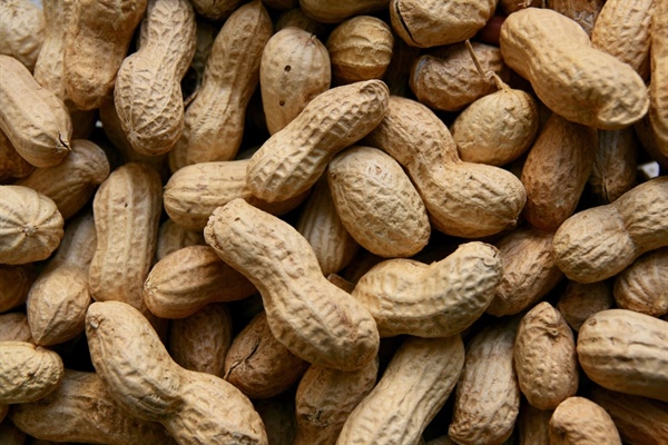 Study finds connection between air pollution and childhood peanut allergies