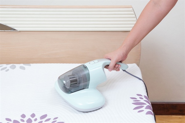 Dust Mites and Asthma