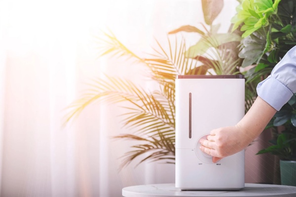 How Can I Control Indoor Allergens and Improve Indoor Air Quality?