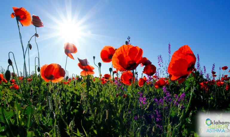 Alpha-gal Syndrome: How a Tick Bite May Trigger a Life-changing Allergy