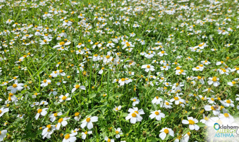 Allergy Shots Explained: Immunotherapy for Long-Term Allergy Relief