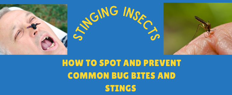 How to Spot and Prevent Common Bug Bites and Stings